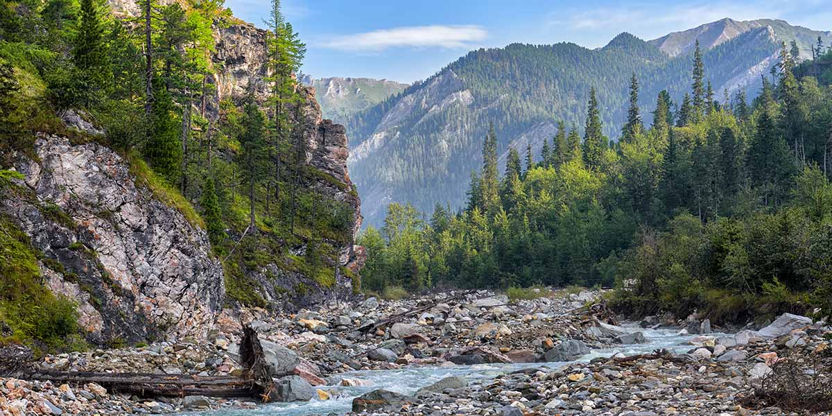 pebbles-in-bed-of-mountain-stream-2021-08-27-08-23-30-utc-copy-1.jpg