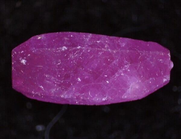 Colorful semi-precious stones in display trays