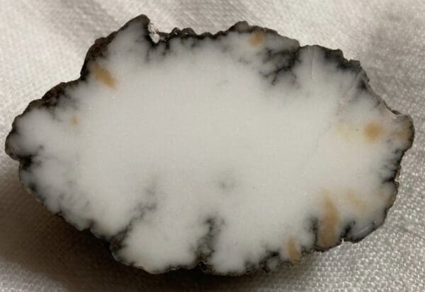 Polished nodule of howlite from Tick Canyon, California